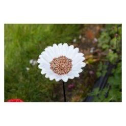 Voederschaal Margriet Met Prikker -Tuinadvies 1642067399 4 600