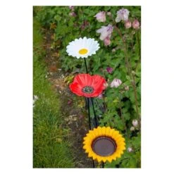 Voederschaal Margriet Met Prikker -Tuinadvies 1642067406 1 600