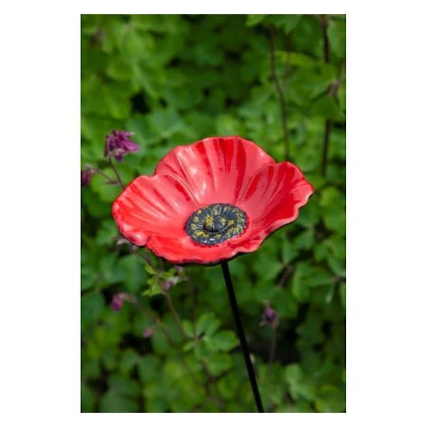 Voederschaal Klaproos Met Prikker 5 Voederschaal Klaproos Met Prikker - Afbeelding 3