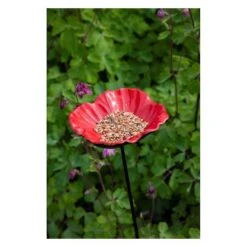 Voederschaal Klaproos Met Prikker 11 Voederschaal Klaproos Met Prikker -Tuinadvies 1642067810 2 600