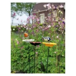 Voederschaal Klaproos Met Prikker 12 Voederschaal Klaproos Met Prikker -Tuinadvies 1642067810 3 600