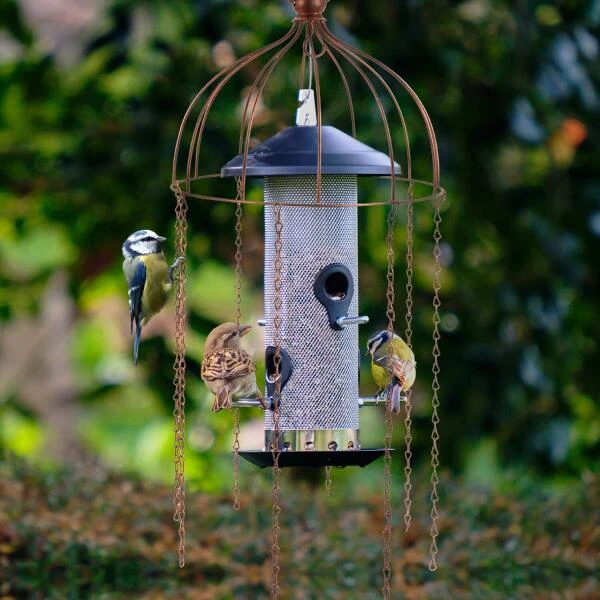 Voederbeschermer Medusa By Simon King 4 Voederbeschermer Medusa By Simon King - Afbeelding 2