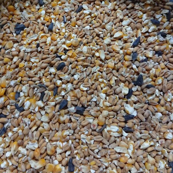 Bio Scharrelgraan 4 Kg 4 Bio Scharrelgraan 4 Kg - Afbeelding 2