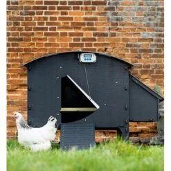 Chickenguard Premium Met Timer En Lichtsensor -Tuinadvies chickenguard premium 1672926700 5 600
