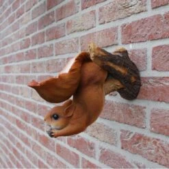 Eekhoorn Wandvoederschaal -Tuinadvies eekhoorn wandvoederschaal 1522230162 1 600