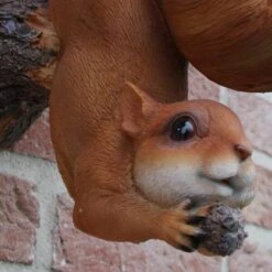 Eekhoorn Wandvoederschaal -Tuinadvies eekhoorn wandvoederschaal 1522230391 1 600