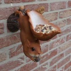 Eekhoorn Wandvoederschaal -Tuinadvies eekhoorn wandvoederschaal 1522230391 2 600