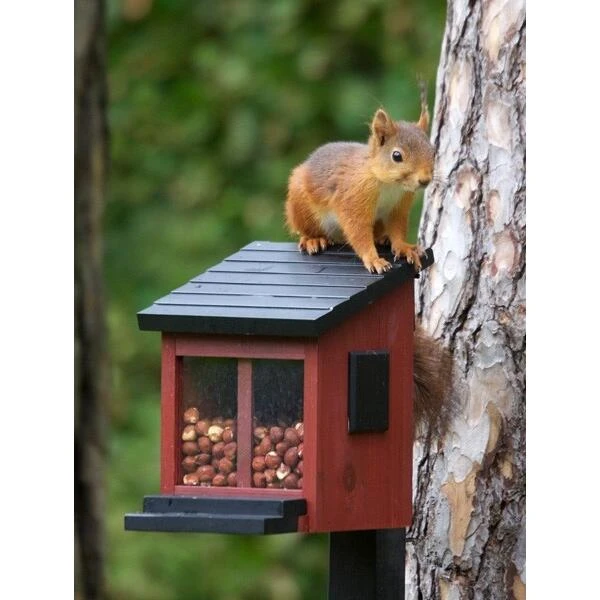 Eekhoornvoederhuisje Rood 3 Eekhoornvoederhuisje Rood