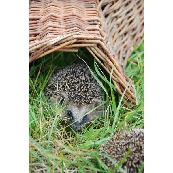 ESSCHERT DESIGN Egelhuis - Egelnest Wilgentenen 4 ESSCHERT DESIGN Egelhuis - Egelnest Wilgentenen - Afbeelding 2