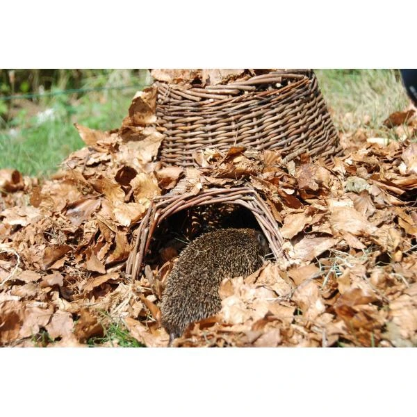 ESSCHERT DESIGN Egelhuis - Egelnest Wilgentenen 6 ESSCHERT DESIGN Egelhuis - Egelnest Wilgentenen - Afbeelding 4