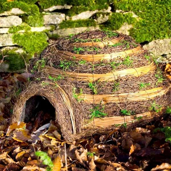 Egelnestkast Large Naturel 4 Egelnestkast Large Naturel - Afbeelding 2