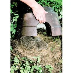 Egelkoepel Met Isolatiebodem - Schwegler 7 Egelkoepel Met Isolatiebodem - Schwegler -Tuinadvies egelkoepel met isolatiebodem schwegler 1557228013 3 600