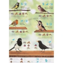 Emma's Garden Vogelvoeder Start Pack 13 Emma's Garden Vogelvoeder Start Pack -Tuinadvies emmas garden start pack 1636369560 4 600