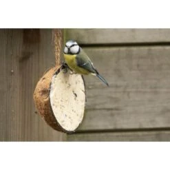 Emma's Garden Vogelvoeder Start Pack 10 Emma's Garden Vogelvoeder Start Pack -Tuinadvies emmas garden start pack vogelvoer 1638884419 1 600