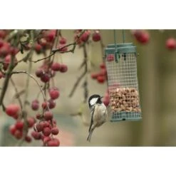 Emma's Garden Vogelvoeder Start Pack 12 Emma's Garden Vogelvoeder Start Pack -Tuinadvies emmas garden start pack vogelvoer 1638886127 1 600