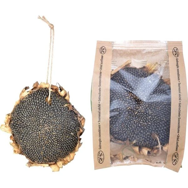 ESSCHERT DESIGN Gedroogde Zonnebloem 4 ESSCHERT DESIGN Gedroogde Zonnebloem - Afbeelding 2