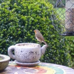 Gepelde Zonnebloempitten - 2 Kg -Tuinadvies gepelde zonnebloempitten 2 kg 1577449956 1 600