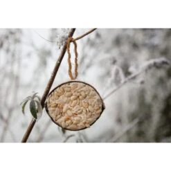 Voorkant -Tuinadvies halve kokosnoot met pindanoten 1646840376 1409 600