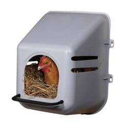 Kippen Legbak Wandmodel