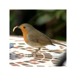 Gedroogde Meelwormen - 100 Gram 10 Gedroogde Meelwormen - 100 Gram -Tuinadvies meelwormen gevriesdroogd 100g 1484053488 3 600