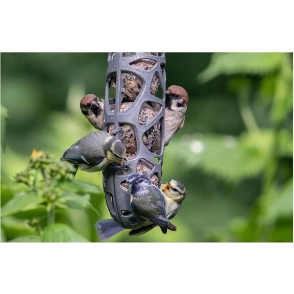 Mezenbolhouder Gerecycleerd Kunststof Voor 3 Mezenbollen 6 Mezenbolhouder Gerecycleerd Kunststof Voor 3 Mezenbollen - Afbeelding 4