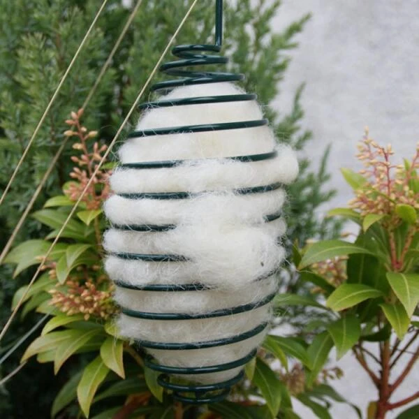 Schapenwol Als Nestmateriaal 4 Schapenwol Als Nestmateriaal - Afbeelding 2