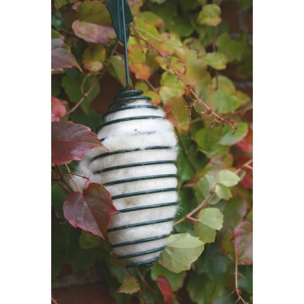 Schapenwol Als Nestmateriaal 7 Schapenwol Als Nestmateriaal - Afbeelding 5