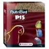 VERSELE-LAGA NutriBird P15 Original Voor Papegaaien - 4 Kg -Tuinadvies nutribird p15 original 4kg 1625133738 17 600