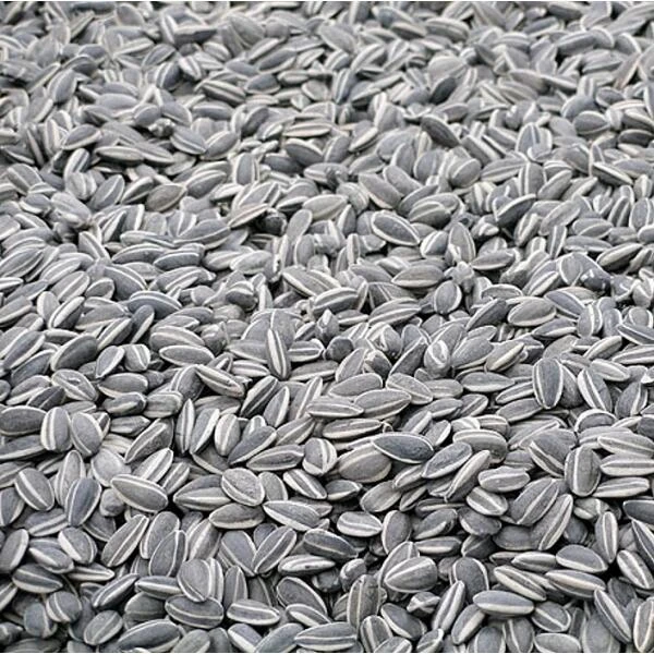 Ongepelde Zonnebloempitten 700 G 4 Ongepelde Zonnebloempitten 700 G - Afbeelding 2