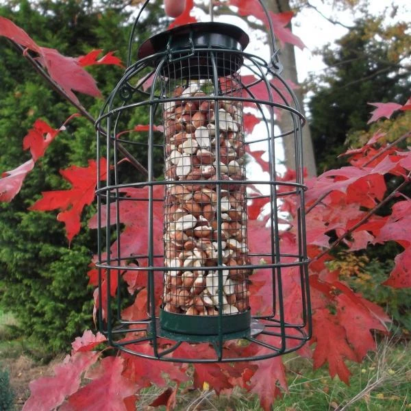 Pindavoedersilo Kleine Vogels - Groen 6 Pindavoedersilo Kleine Vogels - Groen - Afbeelding 4