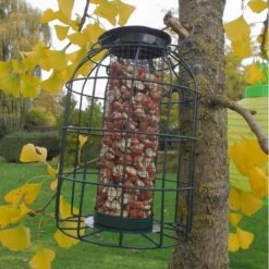 Pindavoedersilo Kleine Vogels - Groen 11 Pindavoedersilo Kleine Vogels - Groen -Tuinadvies pindavoedersilo kleine vogels 1484052978 5 600