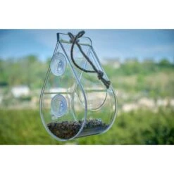 Raamvoederhuis Druppelvorm - Transparant -Tuinadvies raamvoederhuis dewdrop 1669977845 1 600