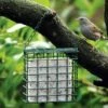 Vetblokhouder Vogels 2 Vetblokhouder Vogels -Tuinadvies vetblokhouder 1484055287 1 600