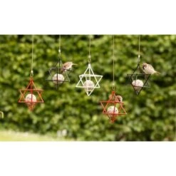 Vetbolhouder Ster - Rood 7 Vetbolhouder Ster - Rood -Tuinadvies vetbolhouder ster rood 1484057133 2 600