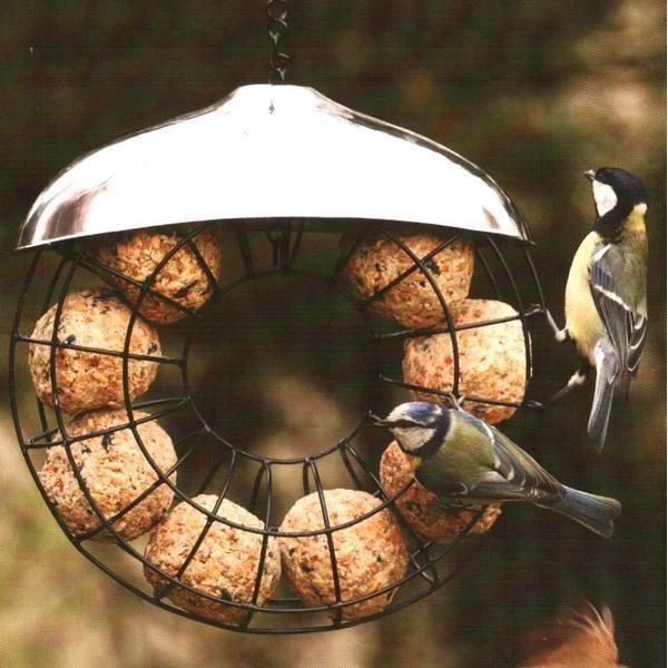 Donut Mezenbollenring 3 Donut Mezenbollenring