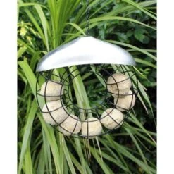 Donut Mezenbollenring 11 Donut Mezenbollenring -Tuinadvies vetbolvoedersilo donut 1512597808 1 600