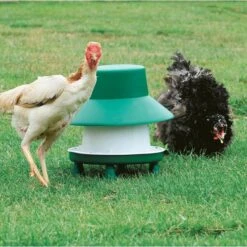 Voorkant -Tuinadvies voederautomaat pluimvee 6 kg 1560245073 1 600