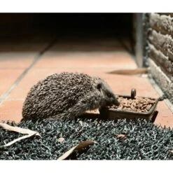 Egel Voerbak Keramiek