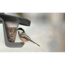 Voedersilo Duofood - Kunststof 9 Voedersilo Duofood - Kunststof -Tuinadvies voedersilo duofood kunststof 1565767973 4 600