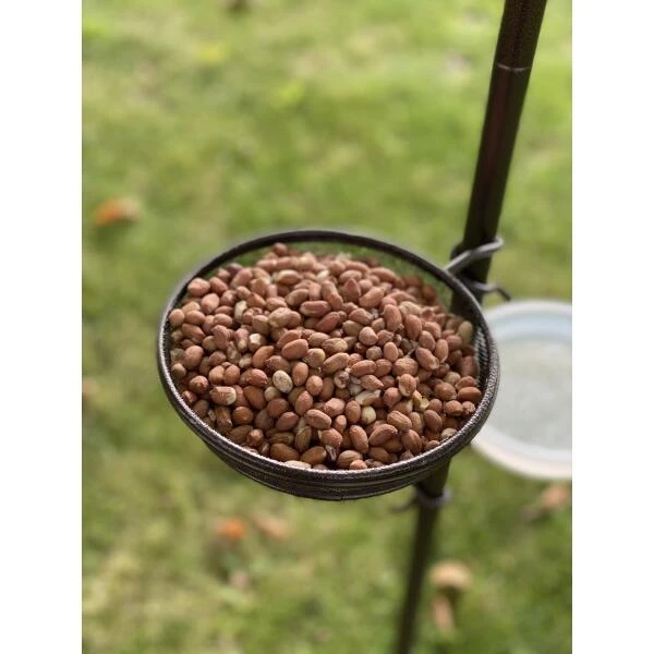 Vogelvoederstation Tuinvogels - Drie Voederhaken 6 Vogelvoederstation Tuinvogels - Drie Voederhaken - Afbeelding 4