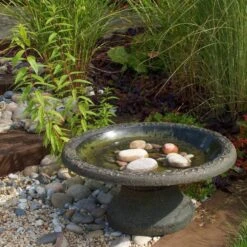 Vogelbad Rustiek XL - Kunststof 9 Vogelbad Rustiek XL - Kunststof -Tuinadvies vogelbad rustiek xl kunststof 1660120179 4 600