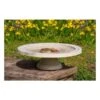 Vogelbad Op Voet 'Shenstone Theatre' Ø 44,5 Cm 1 Vogelbad Op Voet 'Shenstone Theatre' Ø 44,5 Cm -Tuinadvies vogelbad shenstone theatre 1620809242 1 600