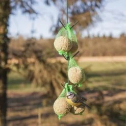 ESSCHERT DESIGN Vogelvoederhaak Met Donkergroen Dakje -Tuinadvies vogelvoederhaak groen 1538483607 1 600