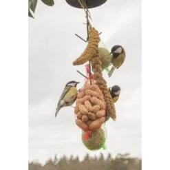 ESSCHERT DESIGN Vogelvoederhaak Met Donkergroen Dakje -Tuinadvies vogelvoederhaak groen 1538483688 1 600