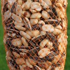 Voederslinger Mix Met Rozijnen - 750 G -Tuinadvies winterkrans mix met rozijnen 750 g 1538387970 1 600