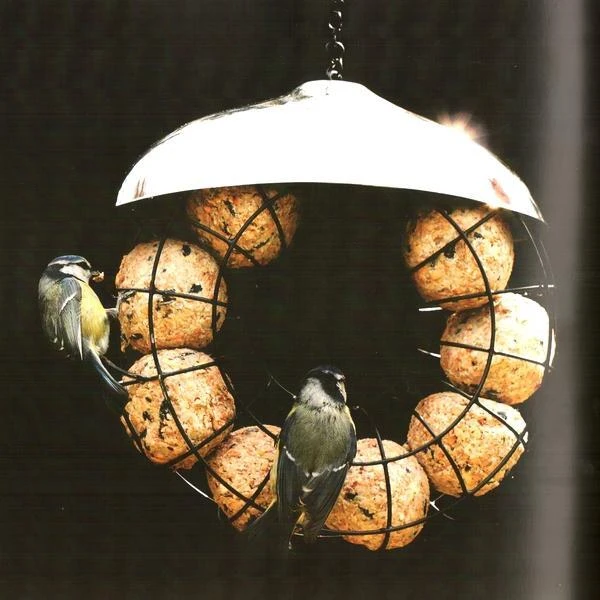 Voorkant 17 Voorkant -Tuinadvies vetbolvoedersilo donut 1484053492 2 600